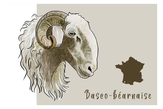 La Basco-Béarnaise