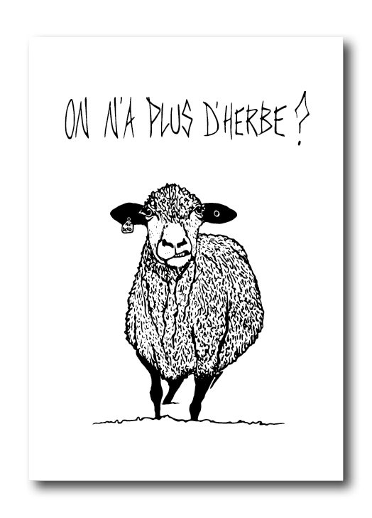 Carte postale