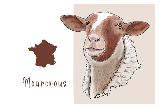 La Mourerous